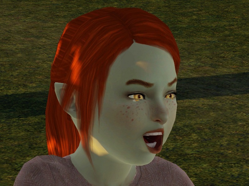 2633869.jpg