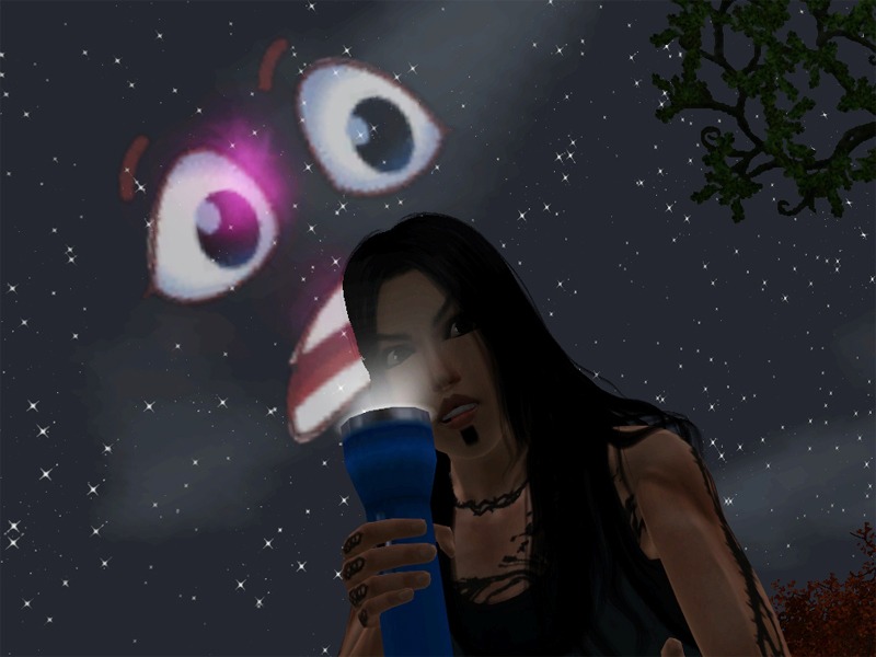2633879.jpg