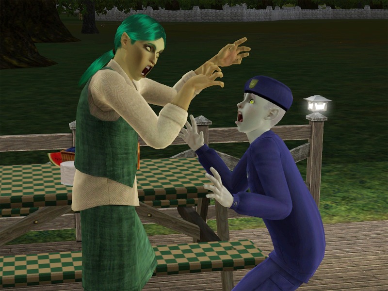 2637182.jpg