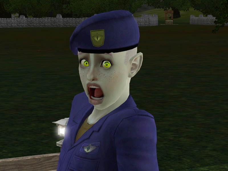 2637188.jpg
