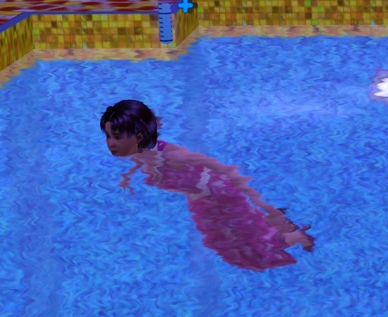 2638739.jpg