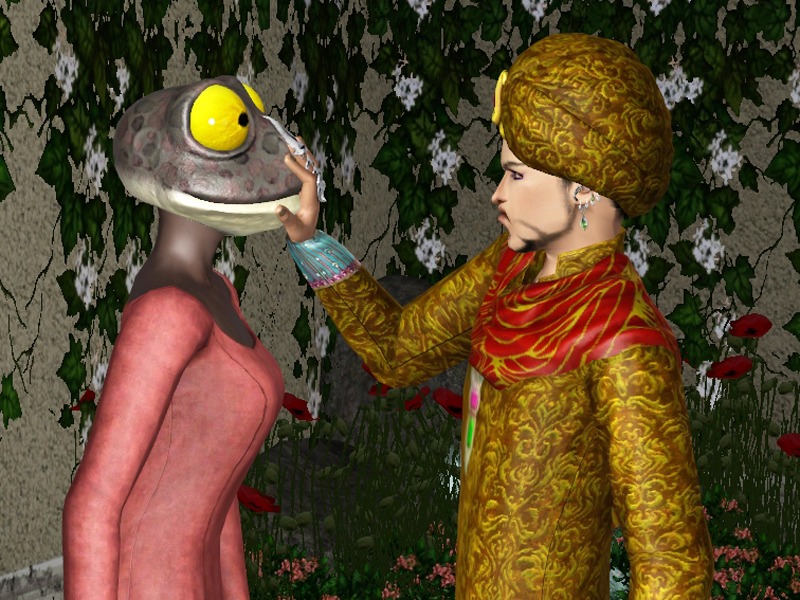 2641696.jpg