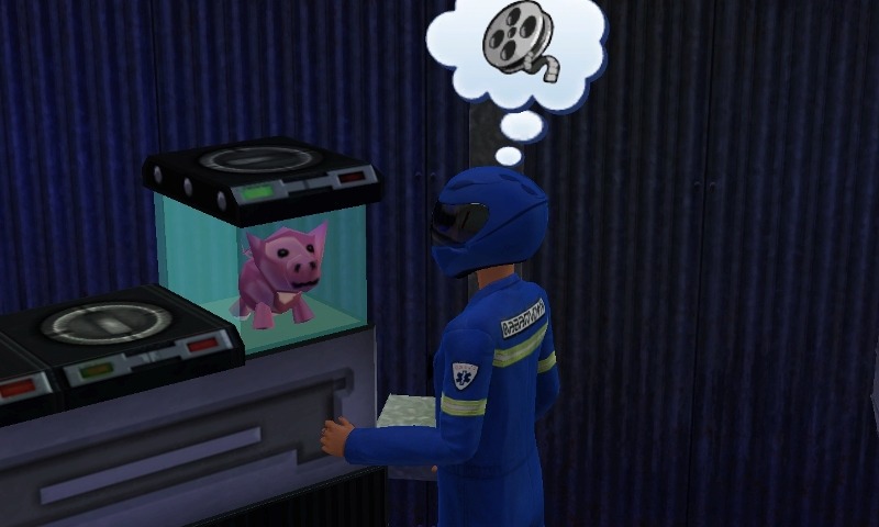 266252.jpg