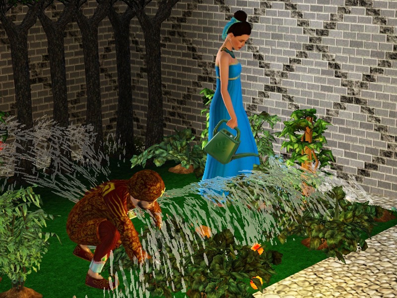 2650220.jpg