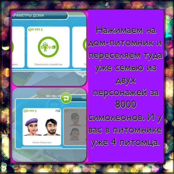 2654217.jpg