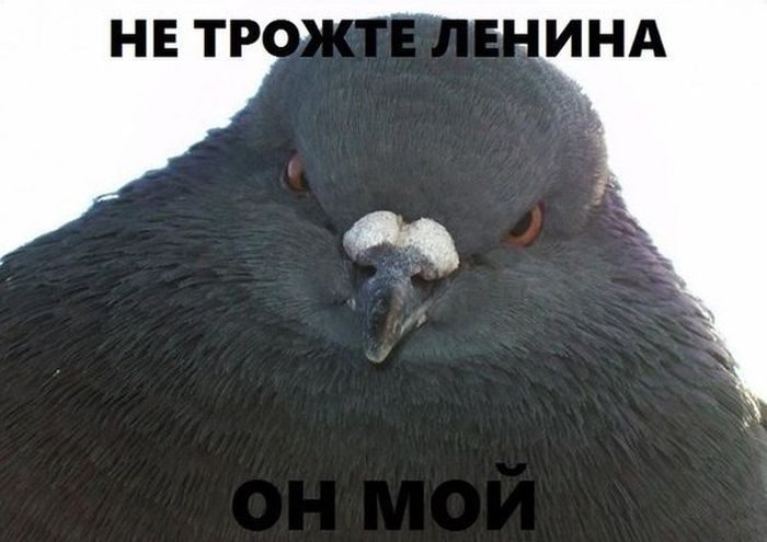 2657521.jpg