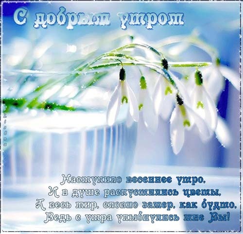 http://4put.ru/pictures/max/868/2667212.jpg