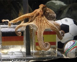 [center][img]http://4put.ru/pictures/max/87/268488.jpg[/img][/center]          � ��������� �������, 20 ������, � ����������� ��������� ������ ���������� ����� ������ ������������ ��������, ����������� ���������� ���������-�������� �����. �� ���� ������� ����������� ������������� ���������� ���� ������.�������� ����� ���������� � ���������, ��� ������ ��������� �������� �����. ��� �������� ����� �������� �� 1,8-�������� ������ ��������, � ����� ���� � ��� ������. ��� ��������, ��� ��������� ��������� ��������� ������� �� ���������� ����.��������, ��� ����� ������� ��������� ����������� �� ����� ���������� ���������� ���� �� ������� 2010 ���� � ���. �� ����� ������� �� ��������� ���������� ���������� ������ ���������, ������� ����� ��������� ������� ����� �������� ������� � �����������.����� �� ����� ������ �������� ���������� ��������� � ��������� �������, ������ ���� �� ���� ��������. ��������-�������� ��������� � ����� ������� 2010 ����, � ��� ����� ��������� ���� � ����������� �������� ��� �������� - ����� II.