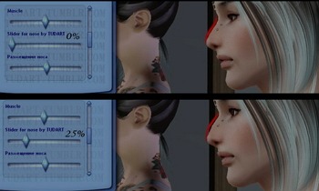2681147.jpg