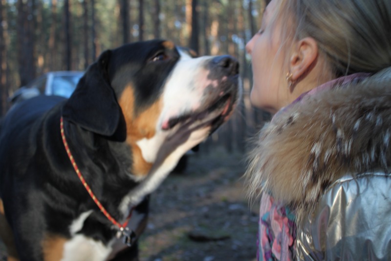 http://4put.ru/pictures/max/875/2688681.jpg