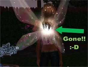 2697184.jpg