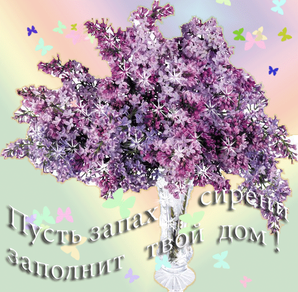http://4put.ru/pictures/max/879/2702688.gif