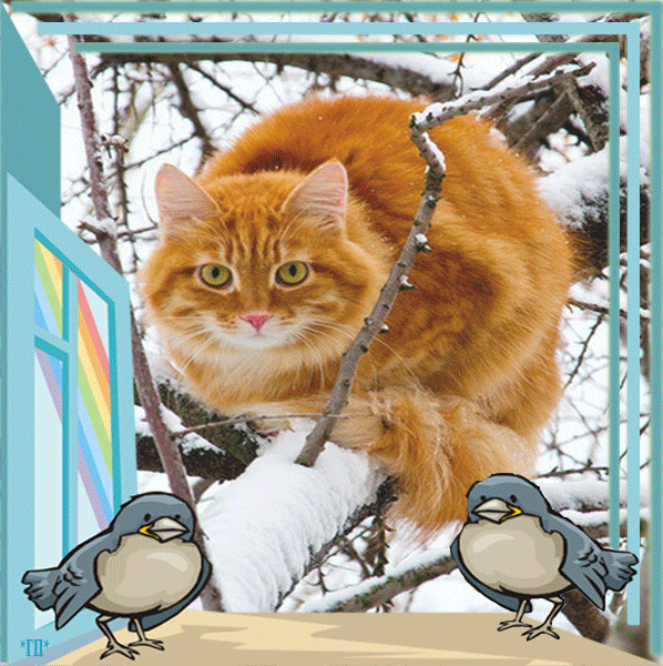 http://4put.ru/pictures/max/880/2703780.gif