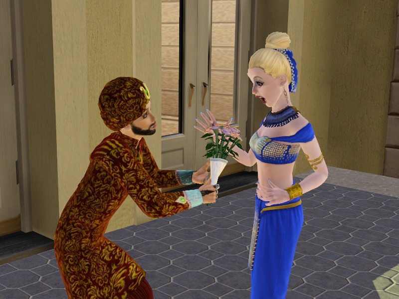 2705355.jpg
