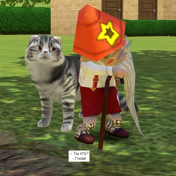 2707918.jpg