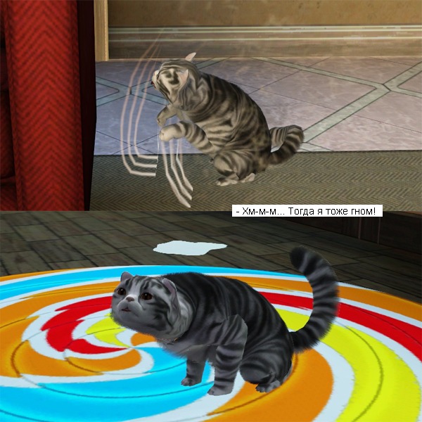 2707923.jpg