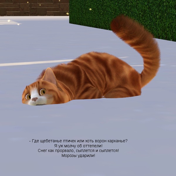 2707935.jpg