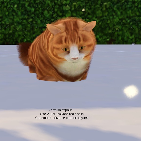 2707936.jpg