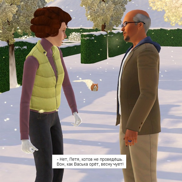 2707937.jpg
