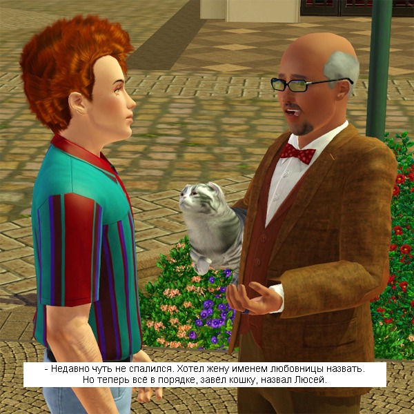 2707938.jpg