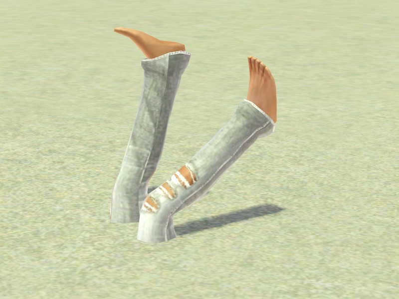 2726174.jpg