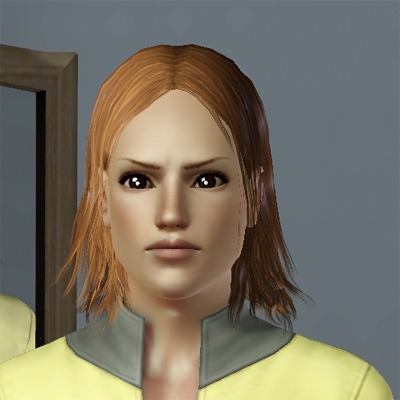 2730329.jpg