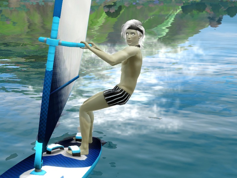 2732238.jpg