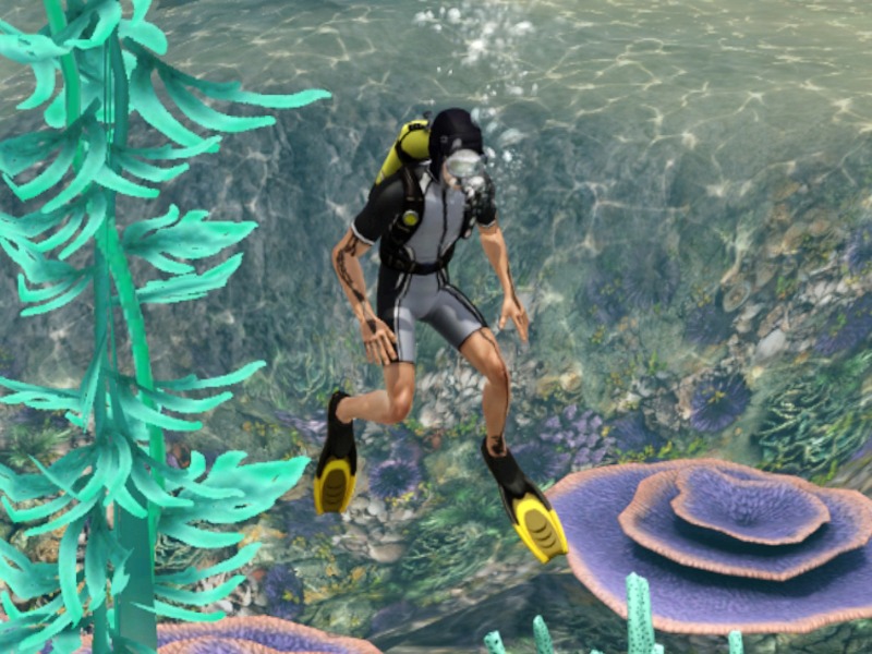 2732275.jpg