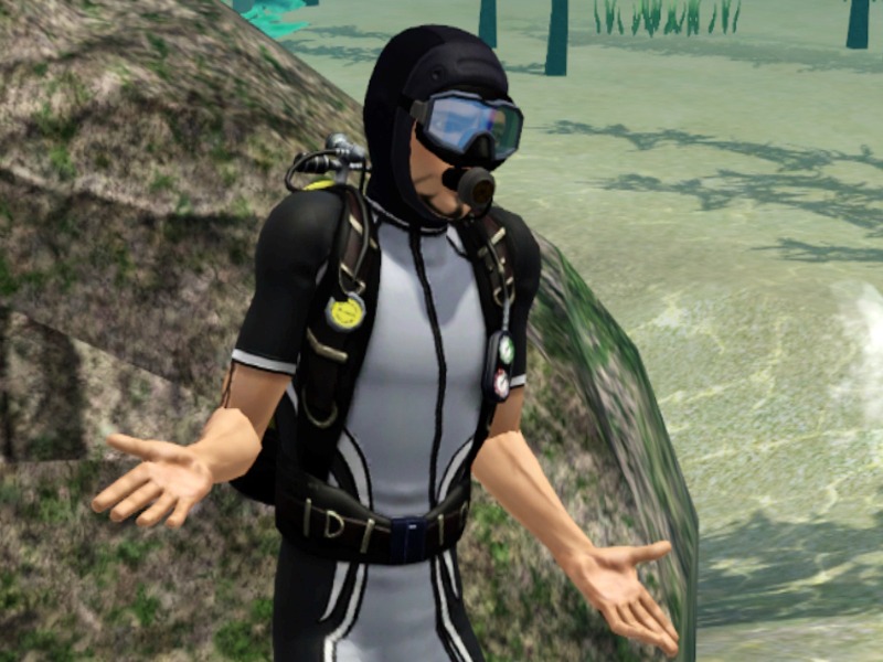2732290.jpg