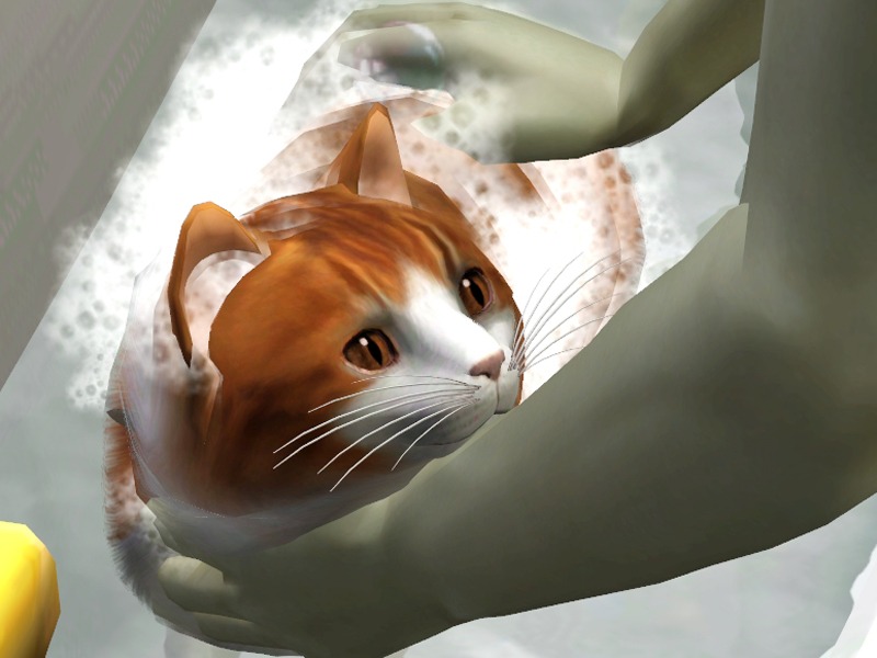 2734397.jpg