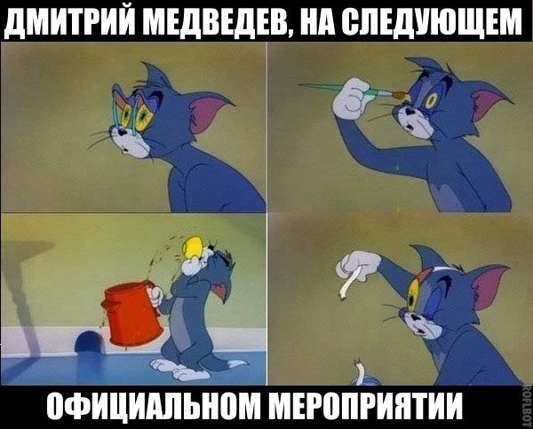 2736139.jpg