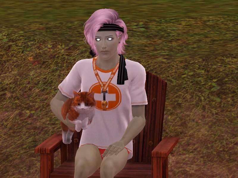 2736858.jpg