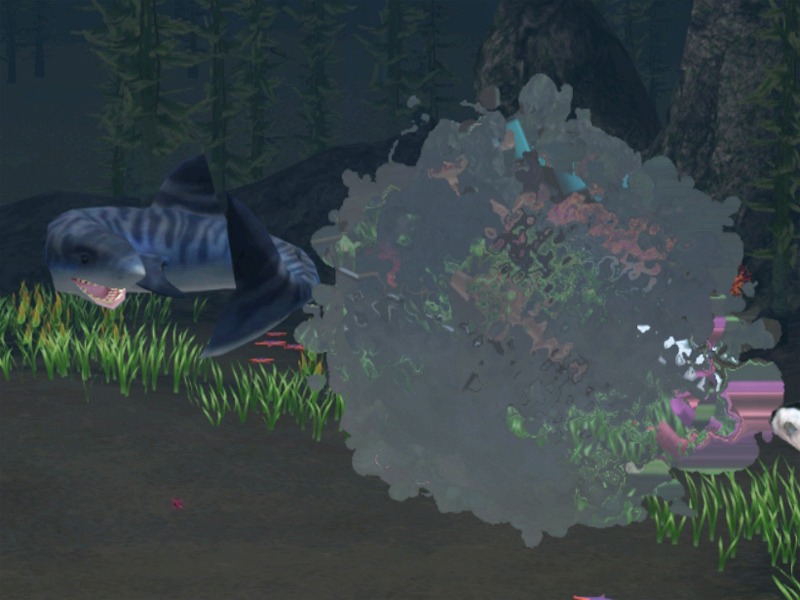 2737673.jpg