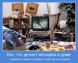 2740081.jpg