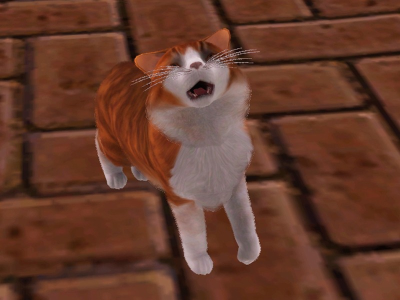 2742718.jpg