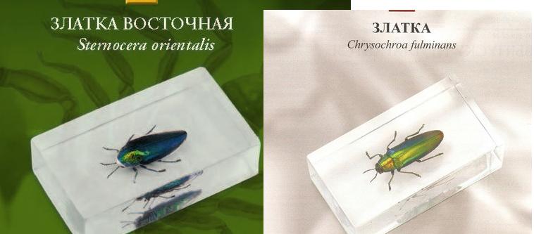 Насекомые и их знакомые 2014 - График Выхода и обсуждение