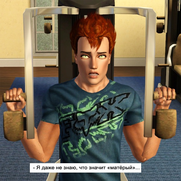2747642.jpg