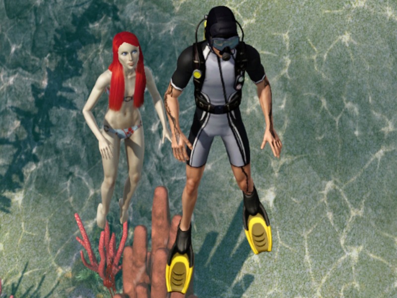 2749721.jpg