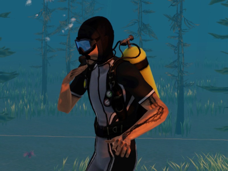 2749724.jpg