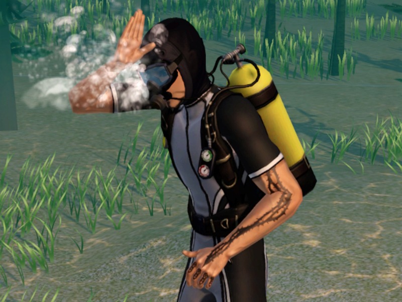 2749726.jpg