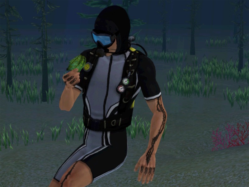 2749728.jpg