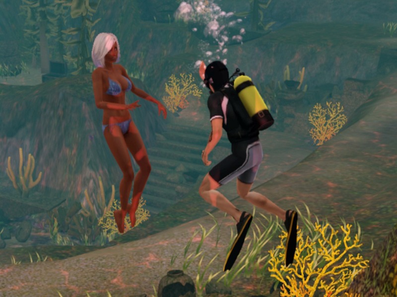 2750862.jpg