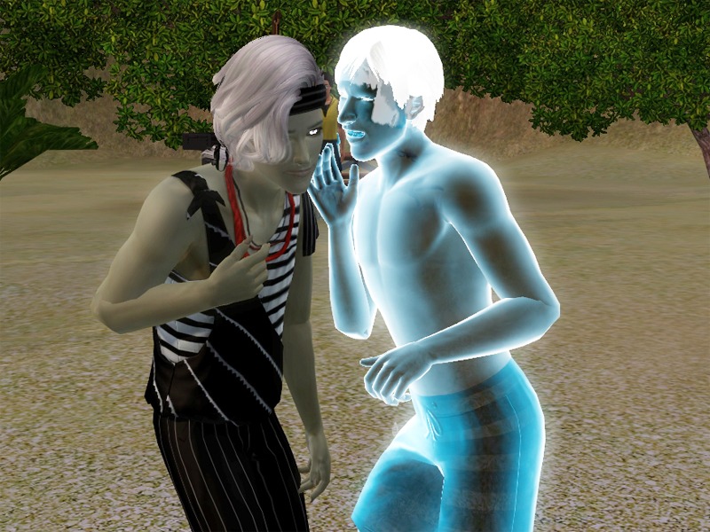 2752933.jpg