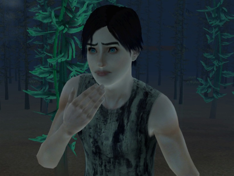 2752985.jpg