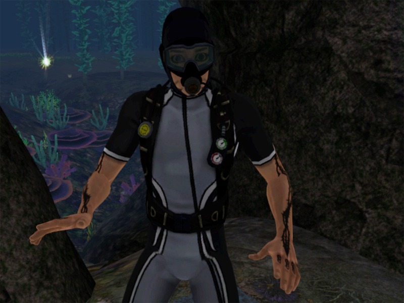 2752987.jpg
