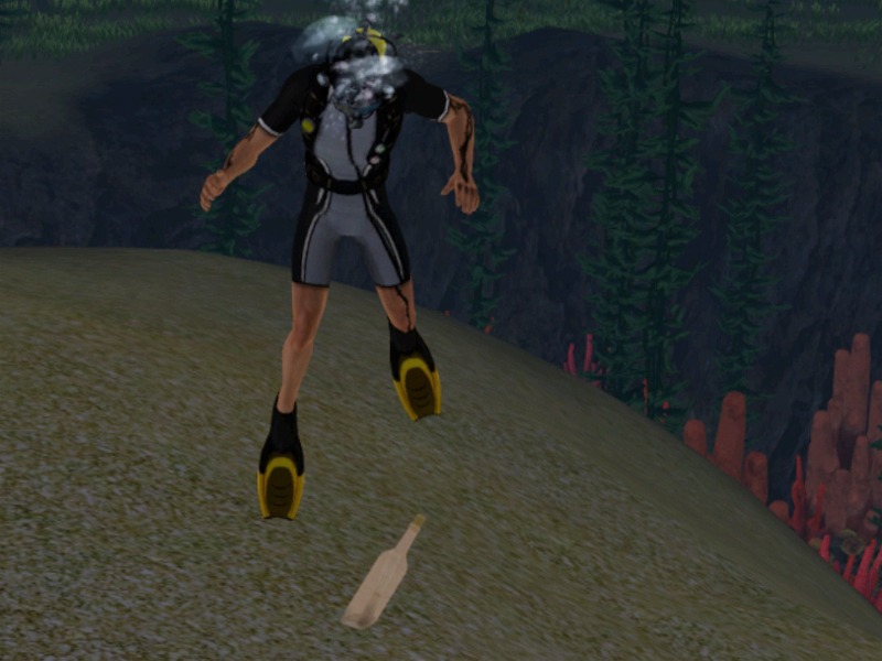 2755559.jpg