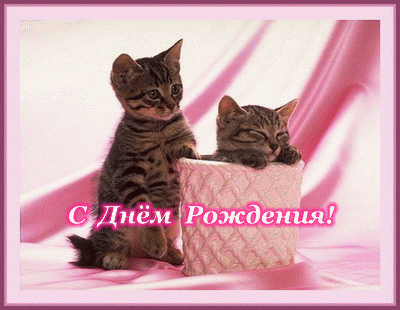Дамы эпохи - Наши дни рождения