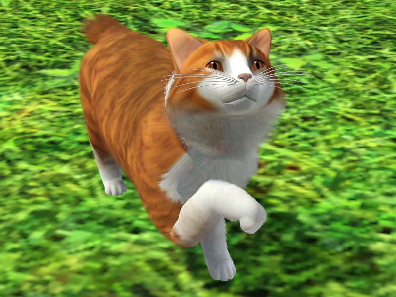2767698.jpg