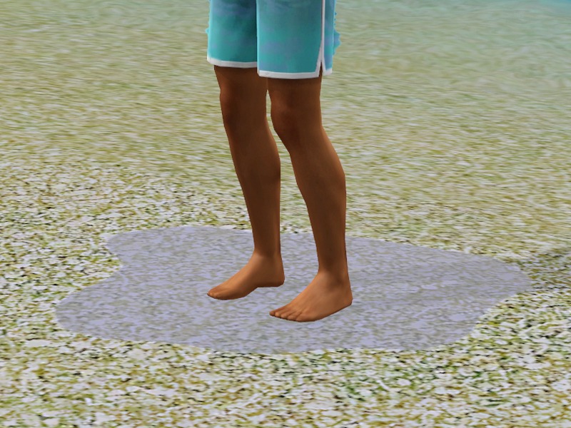 2768855.jpg