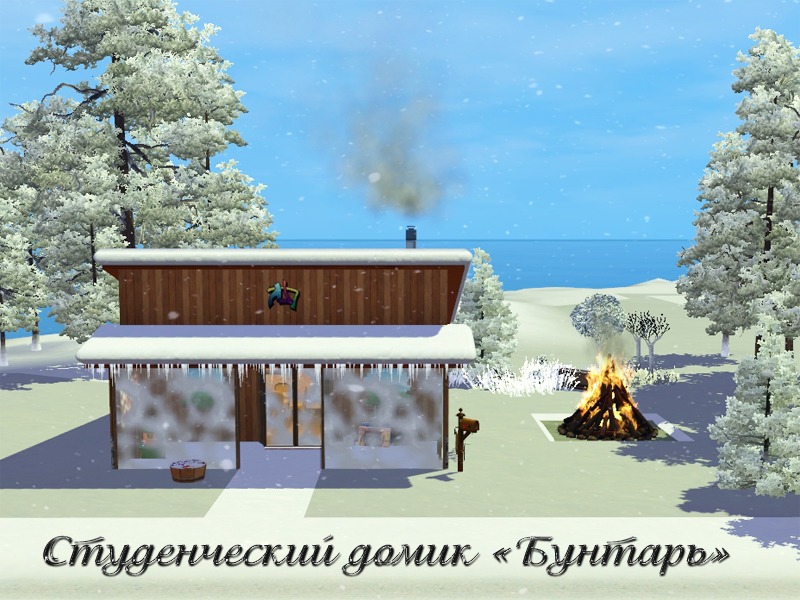 2770386.jpg